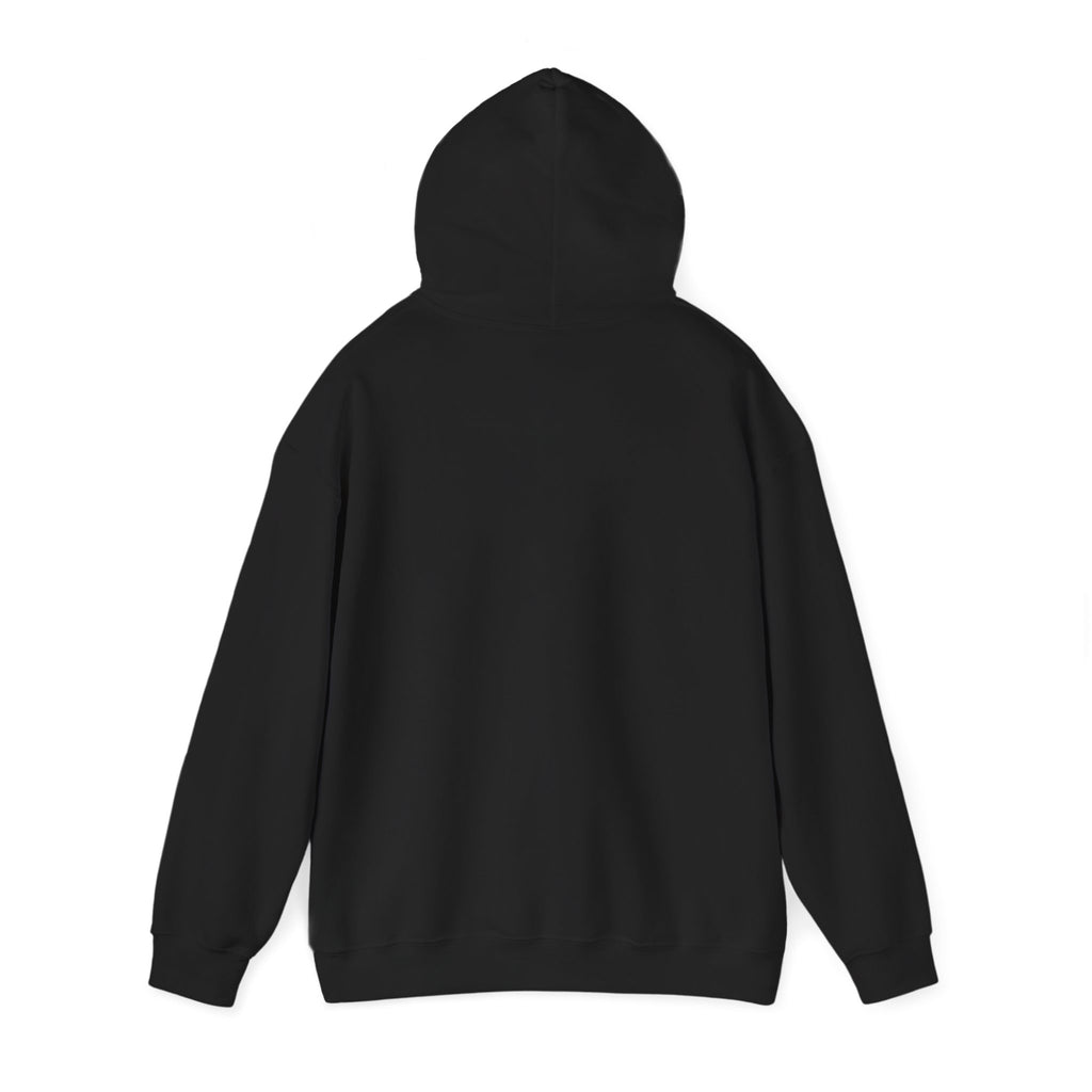 Hoodie - Area 406 Neon UFO Logo (Black)