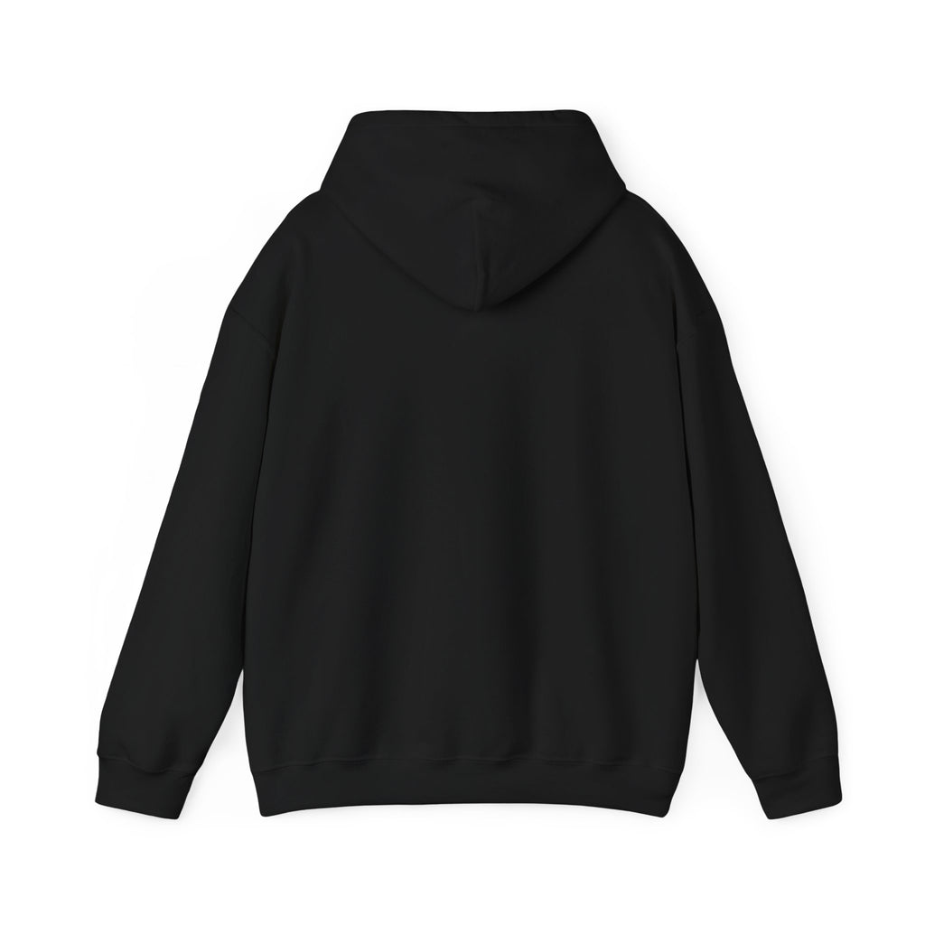 Hoodie - Area 406 Neon UFO Logo (Black)