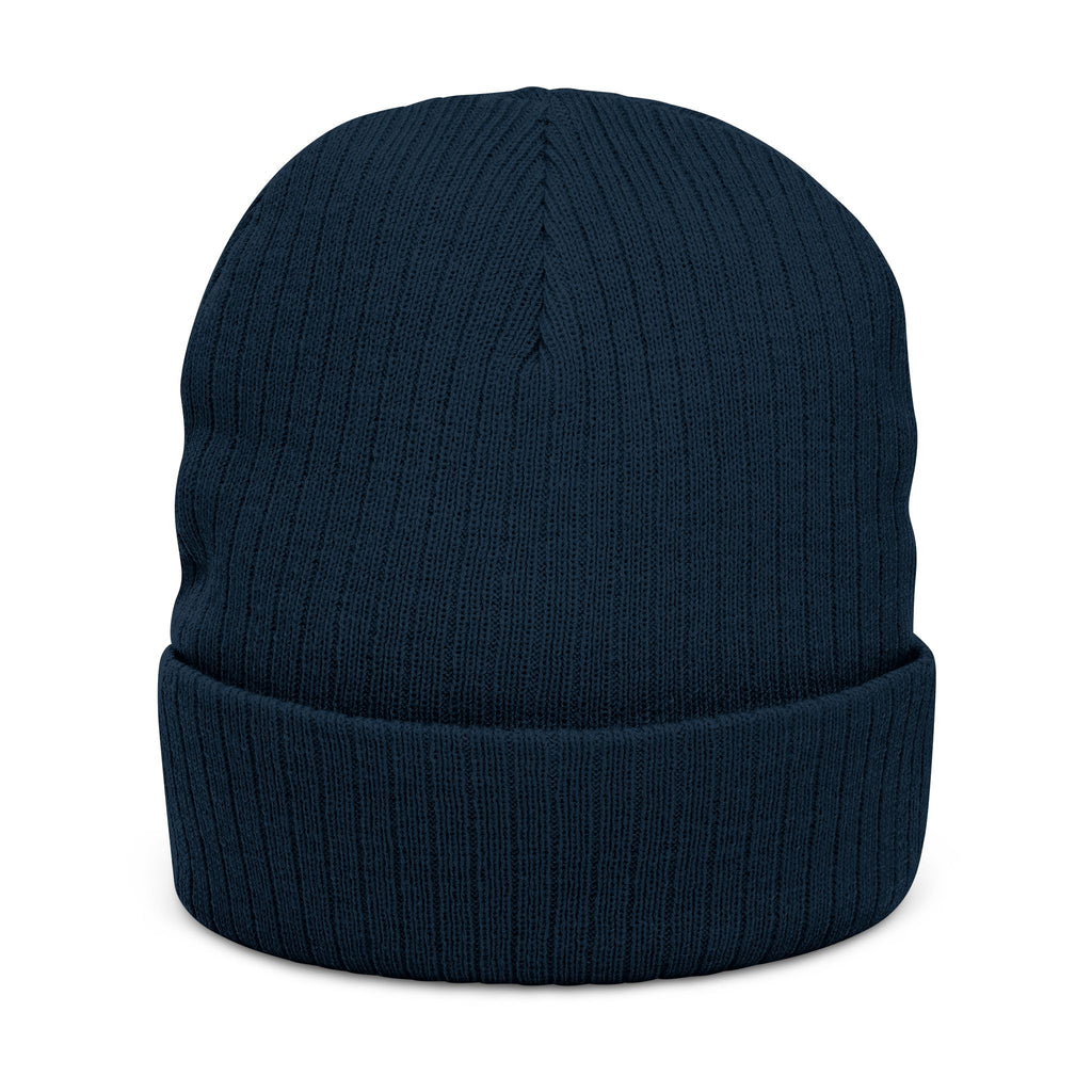 Area 406 Embroidered Beanie