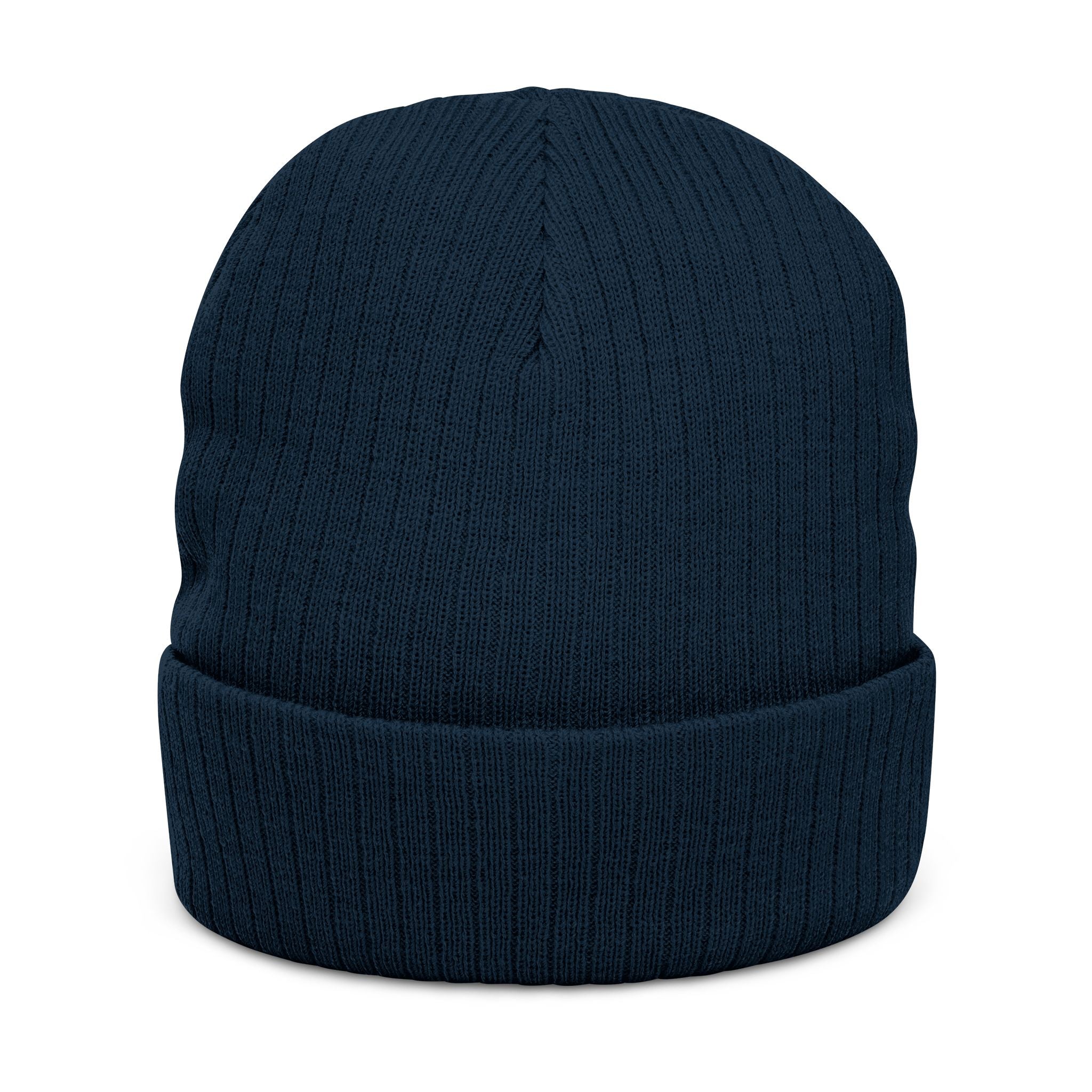 Area 406 Embroidered Beanie