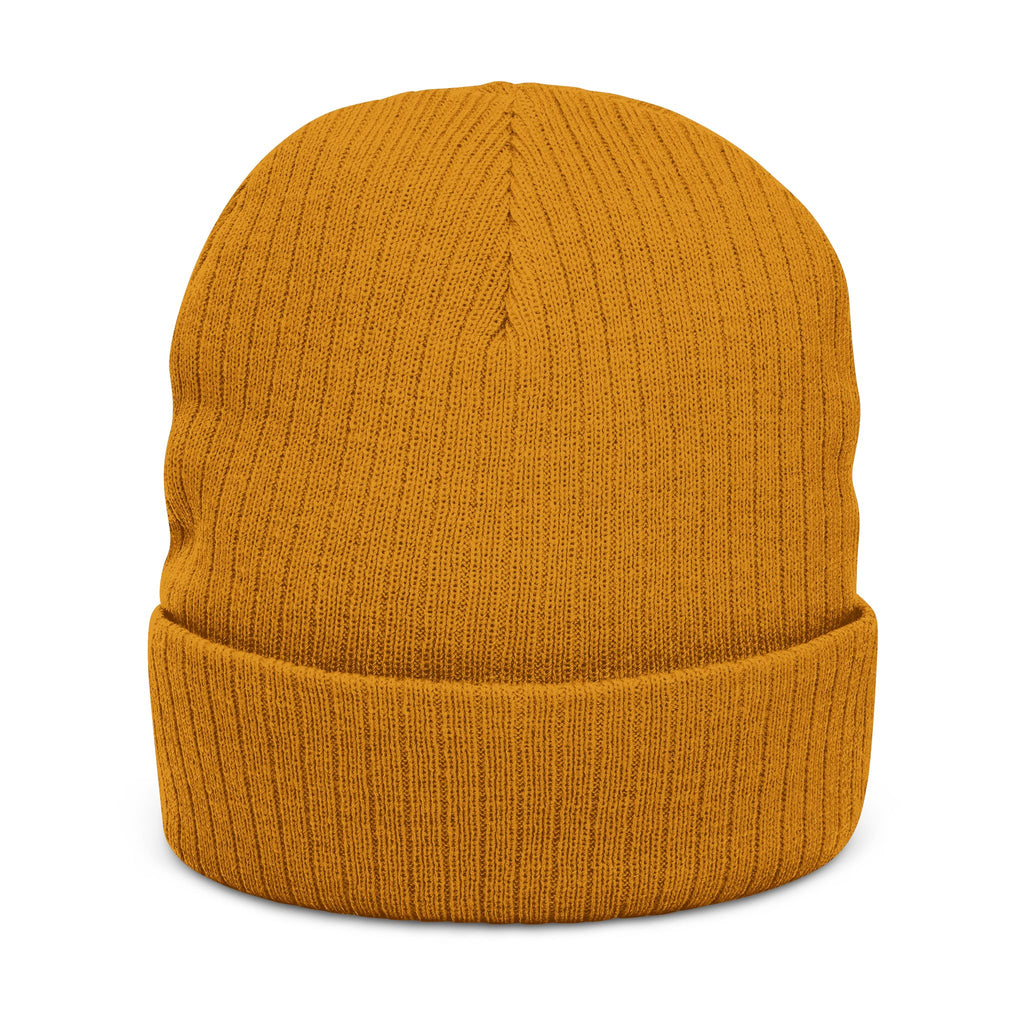 Area 406 Embroidered Beanie