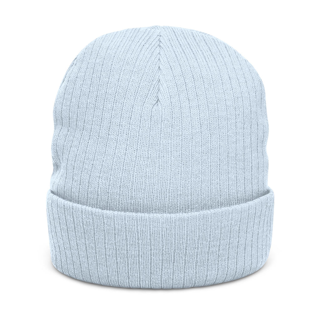 Area 406 Embroidered Beanie